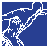 South Hills Orthopaedic Surgery Associates